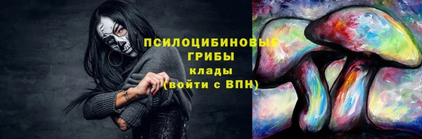 прущие грибы Горно-Алтайск