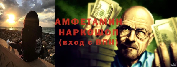 прущие грибы Горно-Алтайск