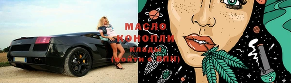 прущие грибы Горно-Алтайск