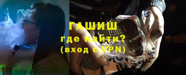 прущие грибы Горно-Алтайск
