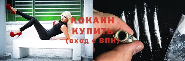 прущие грибы Горно-Алтайск