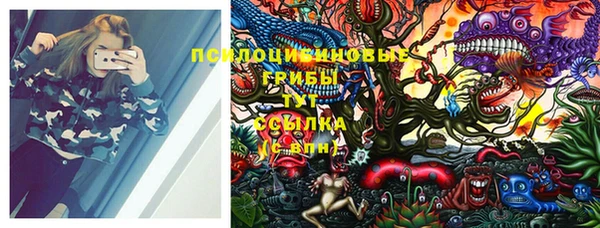 стафф Горняк