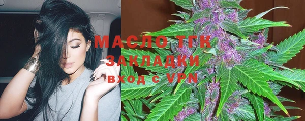 прущие грибы Горно-Алтайск