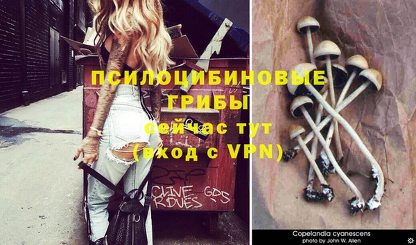 хмурый Вязники