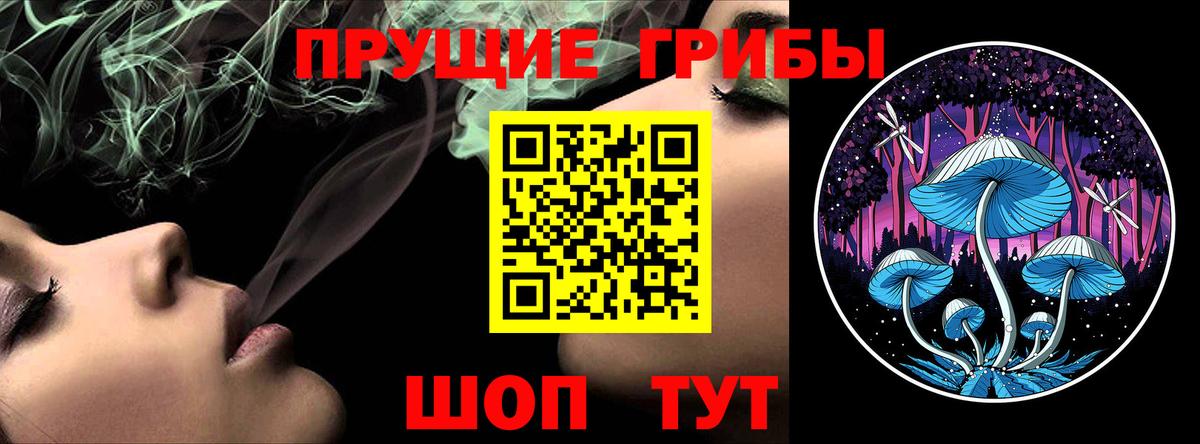 Псилоцибиновые грибы прущие грибы Салават